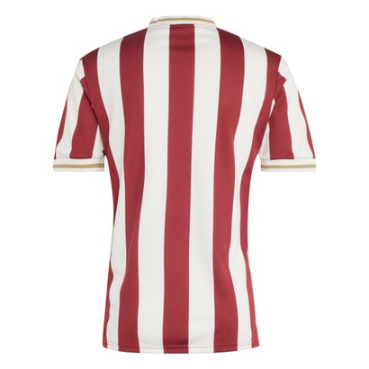 Camiseta de fútbol del 1. FC Núremberg 2025/26 - 125.º aniversario