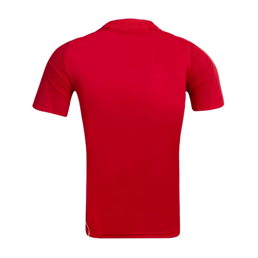 Retro Soccer Jersey Spain Home 2008